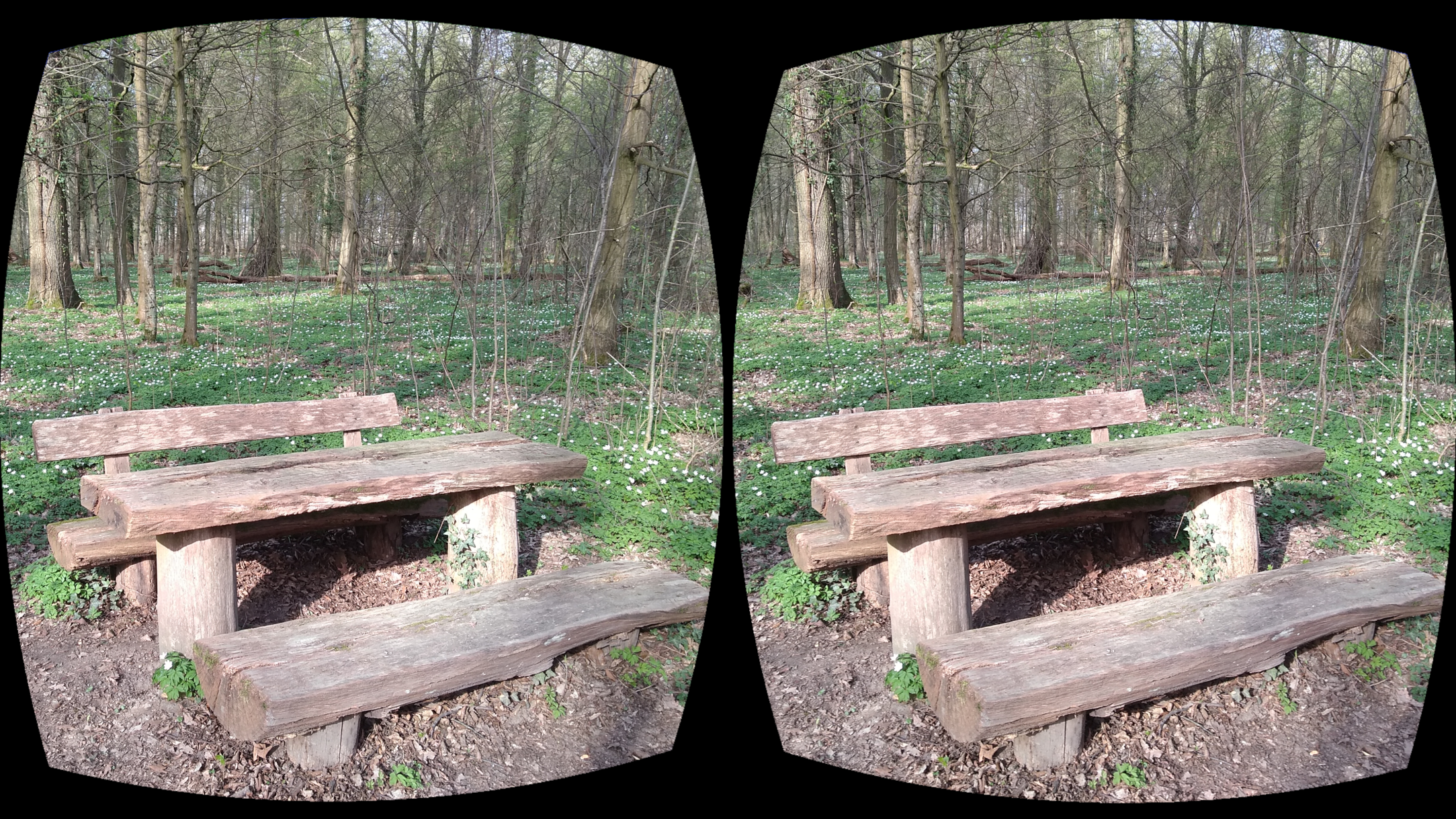 Stereoscopy Image Container